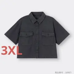 Item thumbnail for item 50ea2520-392a-4470-b9c6-2c56e4774094