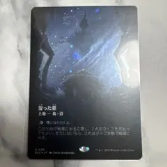 2026年最新】湿った墓 Foilの人気アイテム - メルカリ