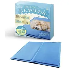 Item thumbnail for item bce88b7d-156e-43ba-9135-df970d3f1f66