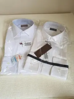 Item thumbnail for item 71f66ec8-5804-4ece-924e-2659d19c2945