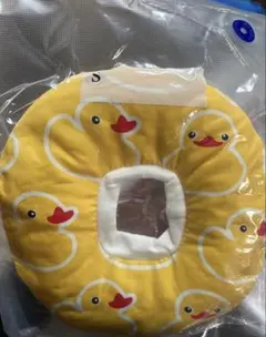 Item thumbnail for item ea48b638-6f00-47d4-8a5b-77d742190e12