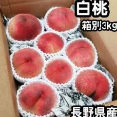 yoyo様　クール便　山梨県産　蜜桃　品種選べる　三蜜桃　新鮮朝採り　3kg箱 yoyo様 クール便 山梨県産 蜜桃 品種選べる 三蜜桃 新鮮朝採り 3kg箱