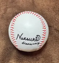 Item thumbnail for item 783d2662-0e34-415f-9cc0-e1d519753ce5