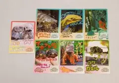 鳥羽水族館 コレクションカード ラッコ キラ メイ ノーマル vol.2