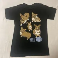 正規品Cowboy Bebop（カウボーイビバップ） EINアインTシャツ S黒