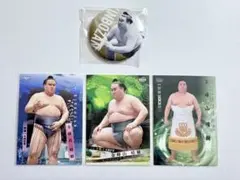 Item thumbnail for item 335fe66a-347d-4954-a6c1-b97d872f4104