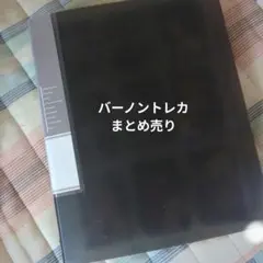 SEVENTEEN バーノン トレカ約300枚