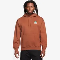 NIKE SB U NK SB FLC HD JARRITOS パーカー