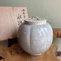 水差し　常滑焼 伊藤雄志 白刷毛目 水指 銘 瑞雲 水差し 常滑焼 伊藤雄志 白刷毛目 水指 銘 瑞雲 - メルカリ