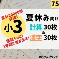 75.小学3年生　ドリル　セット　計算　漢字　夏休み　むげんプリント