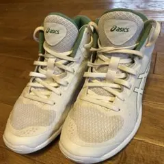 Item thumbnail for item 2248339d-59ac-4909-bb06-41b374e1deb2