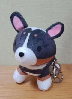 Item thumbnail for item e42aba1e-5b9e-44fc-a9f9-1db9abfcbed4