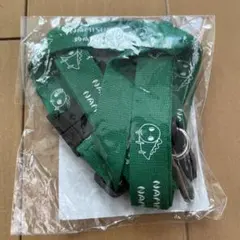 なみすけ　ネックストラップ　グリーン　マスクとセット