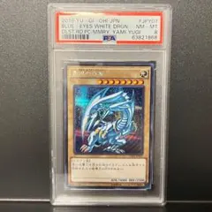 遊戯王 青眼の白龍 ステンレス PSA9 20th - メルカリ