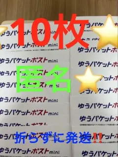 ゆうパケットポストmini 専用封筒 10枚セットその202