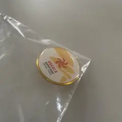 非売品　万博　ピンバッジ　アンゴラ