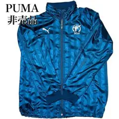 Item thumbnail for item bfa9f56f-45c9-4346-b89c-f56cb2c14d11