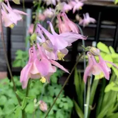 より717様 リクエスト 6点 まとめ商品