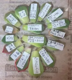 arywママ様 リクエスト 2点 まとめ商品