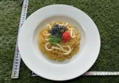 【サンプル品】 サンプル食品　パスタ