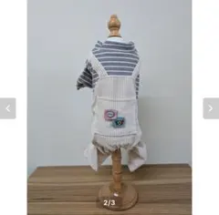 Item thumbnail for item 0316a154-0711-48f7-94c6-662ed5eaab13