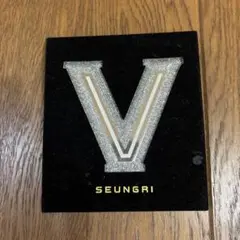 SEUNGRI 1ST MINI ALBUM V