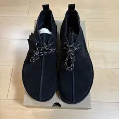 Clarks Desert Trek GTX デザートトレックGTX