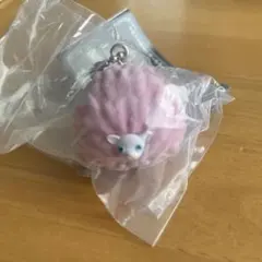 カプセルフロッキーズ　ピグミーパフ