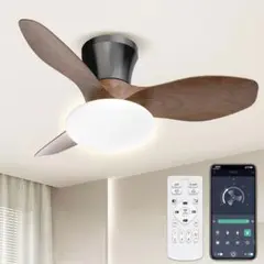 Item thumbnail for item 4df80f31-f942-43cf-a626-6163aa3fa93e