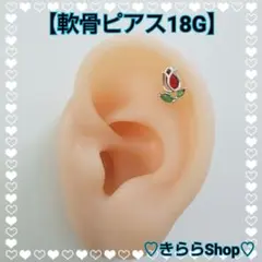 Item thumbnail for item 311a1b45-79b4-4df1-bb46-0813886c6b68