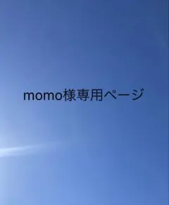 momo様 リクエスト 2点 まとめ商品