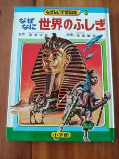昭和レトロ当時物 なぜなに動物のふしぎ 2 昭和レトロ当時物 なぜなに動物のふしぎ 2 - メルカリ