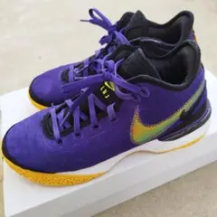 26.5cm NIKE レブロン NXXT Gen EP