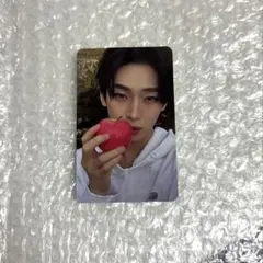 ソヌ　THE SIN : VANISH (FUGITIVES Ver.) 封入