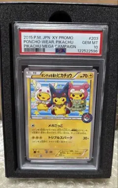 ポンチョを着たピカチュウ：「強（つよ）☆カワ ピカチュウのメガ