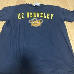 NCAA UC BERKELEY Tシャツ ネイビー LL