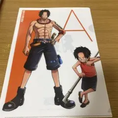 ワンピース クリアファイル ２枚セット