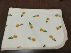 Item thumbnail for item 0fed168a-6341-4557-a091-c2c2bb4000f5