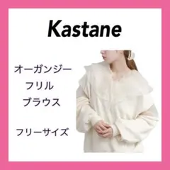 【販売終了】Kastane トップスオーガンジーフリルブラウス シアー Fのサムネイル