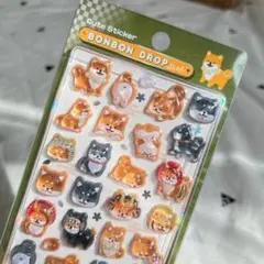 【新品】ボンボンドロップシール 柴犬 動物 うるうる 3D 立体