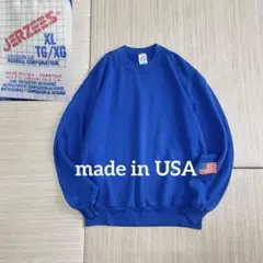 80s USA製 ジャージーズ 無地 スウェット ブルー 青 XLのサムネイル