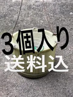 새우 타츠베 3팩, 긴팔새우, 강 새우, 타츠베 생선/새우 피쉬/새우 피쉬/새우
