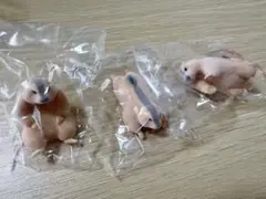 最終お値引き　話題のマーモット　ガチャ【まもち】　売り切ります