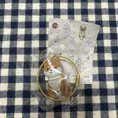 わんこのタイムカプセル　まめ　新品未使用