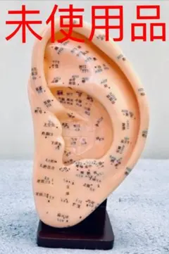 Item thumbnail for item 8be961a5-6858-41eb-a895-56422d3160f7