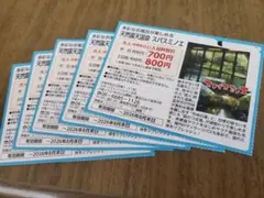 2026年最新】スパスミノエ 回数券の人気アイテム - メルカリ