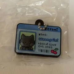 Item thumbnail for item 07a3f1d9-0373-4cea-9067-a6dabf76ef8f