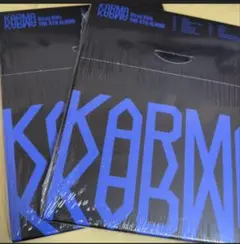 straykids karma 未開封 2個