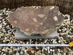 巨大庭石 国産石 鑑賞石 庭 坪庭 ガーデニング 置物 オブジェ170cm①