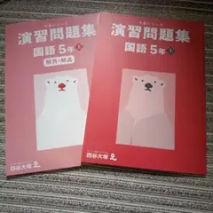 演習問題集　国語　５年上　（書き込み無し）